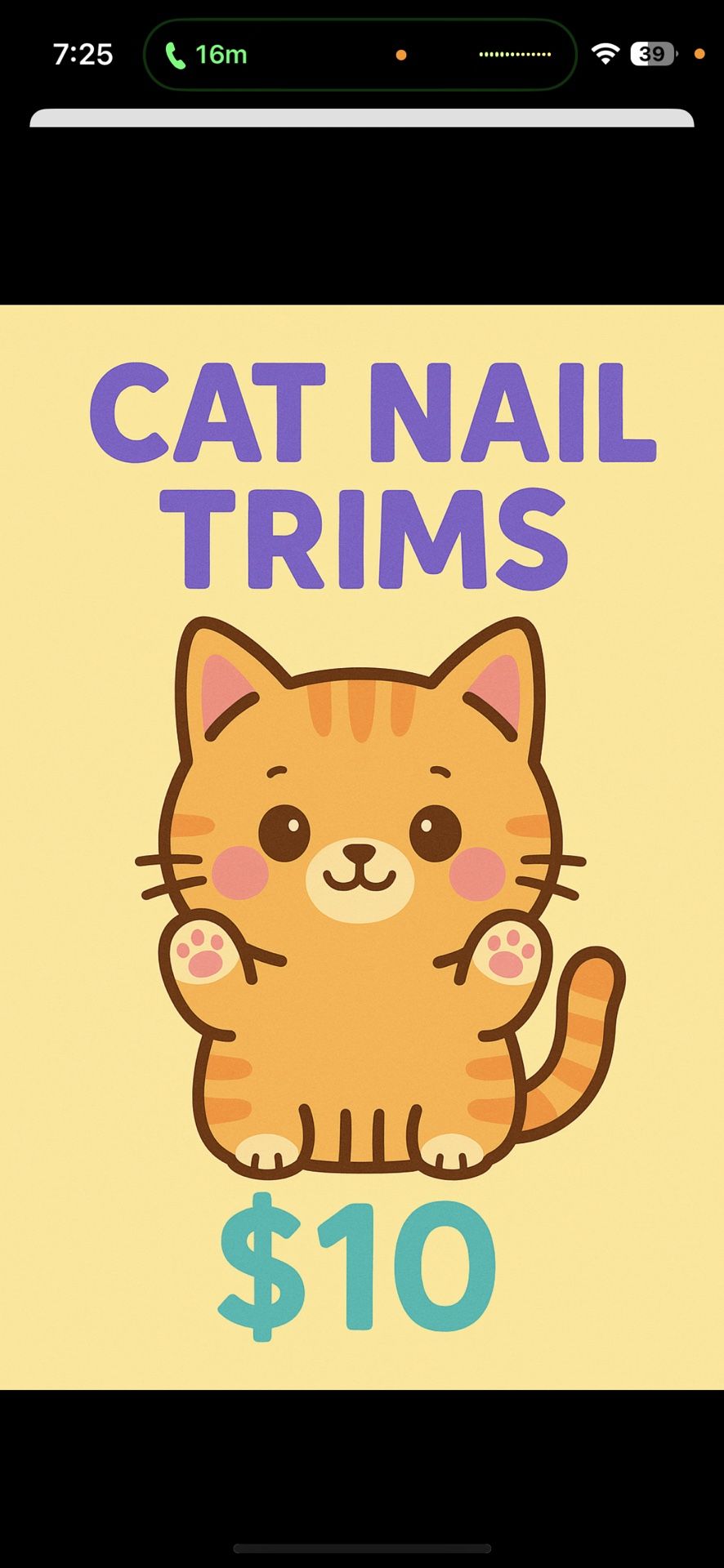 Nail Trims