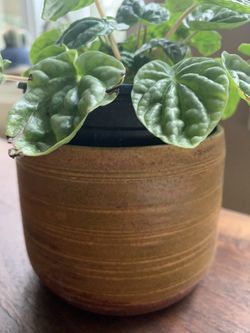 Unique, Handmade, Ceramic, Rustic, Yellow, Mustard Planter, Pot