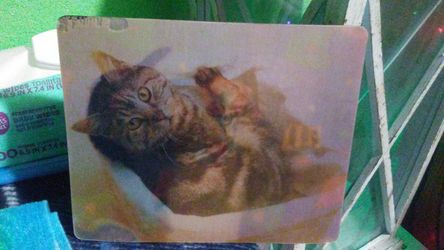 Changing Holographic Cat Mouse pad
