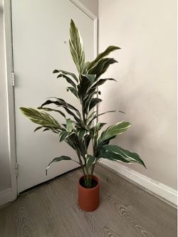 Faux Plant