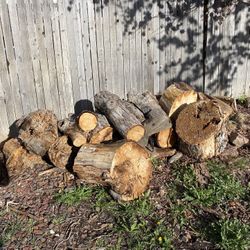 FREE Silver Maple Firewood