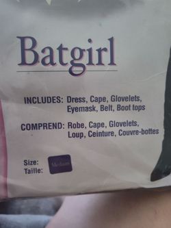 adult Batgirl Halloween costume