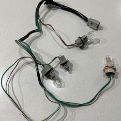 02 Honda CRV Tail Light Wiring Harness Assembly.
