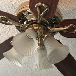 Ceiling  Fan