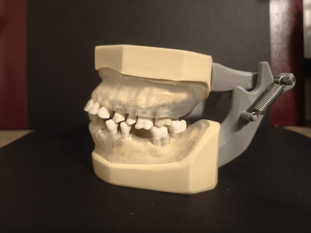 Columbia Periodontal Typodont