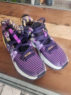 Lebron  basketball shoe