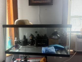 Reptile Glass tank