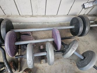 Bench, squat rack and standard weights