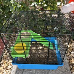 Cage with 2 Hamsters 