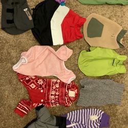 Dogs Clothes, Harness, Disposable Tray’s, And More