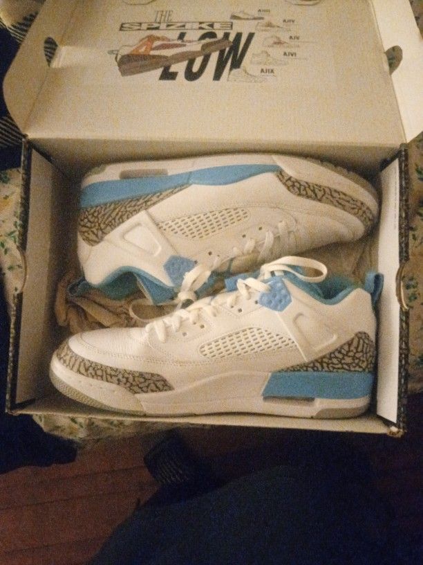 Jordan 4s Spike Lees