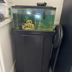 Fish Tank With Stand 