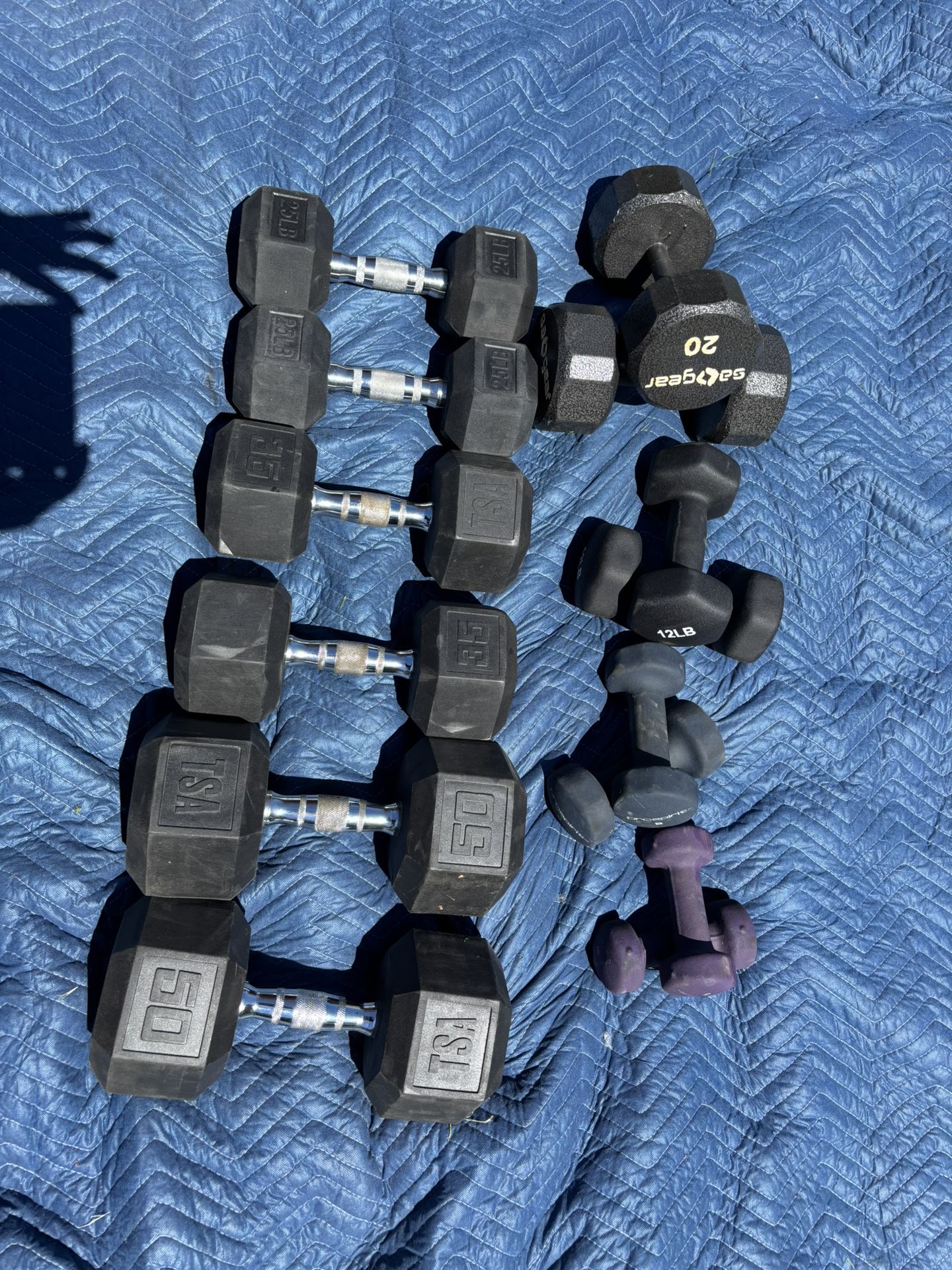 Dumbbells 310 Lbs