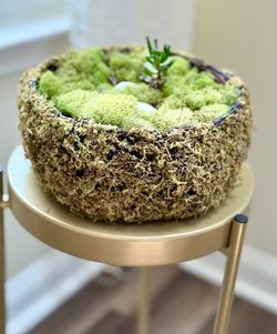 Japanese Kokedama Moss Ball Planter with Modern Gold 2-Tier Rolling Stand