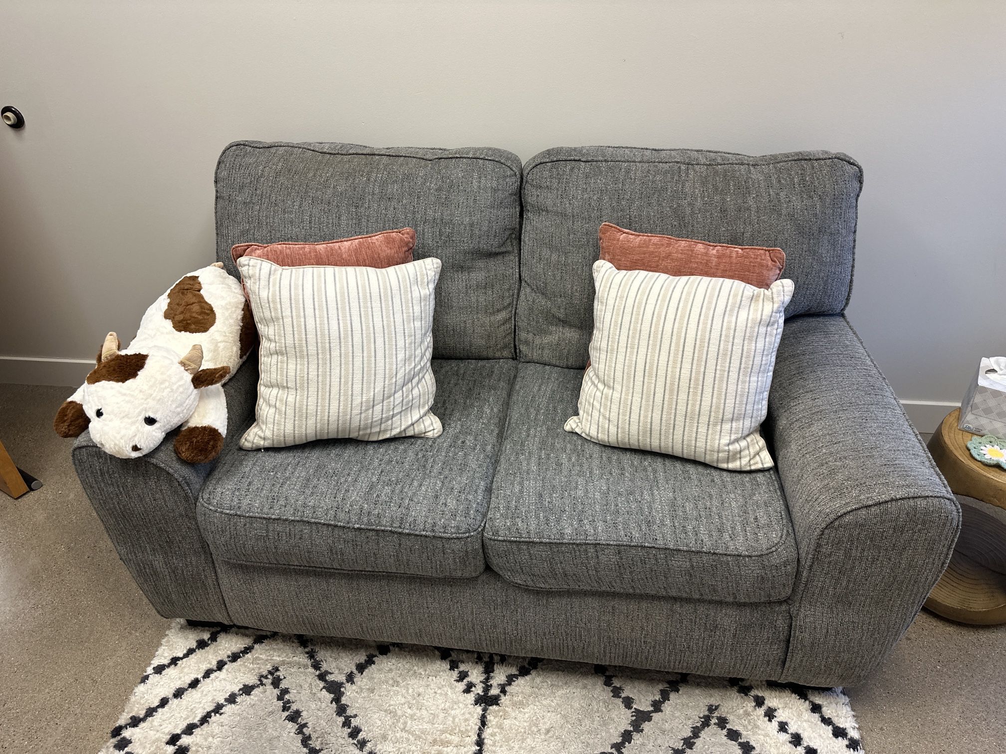 Living Spaces Couch