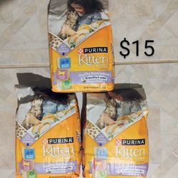 Dry Cat Food Kitten