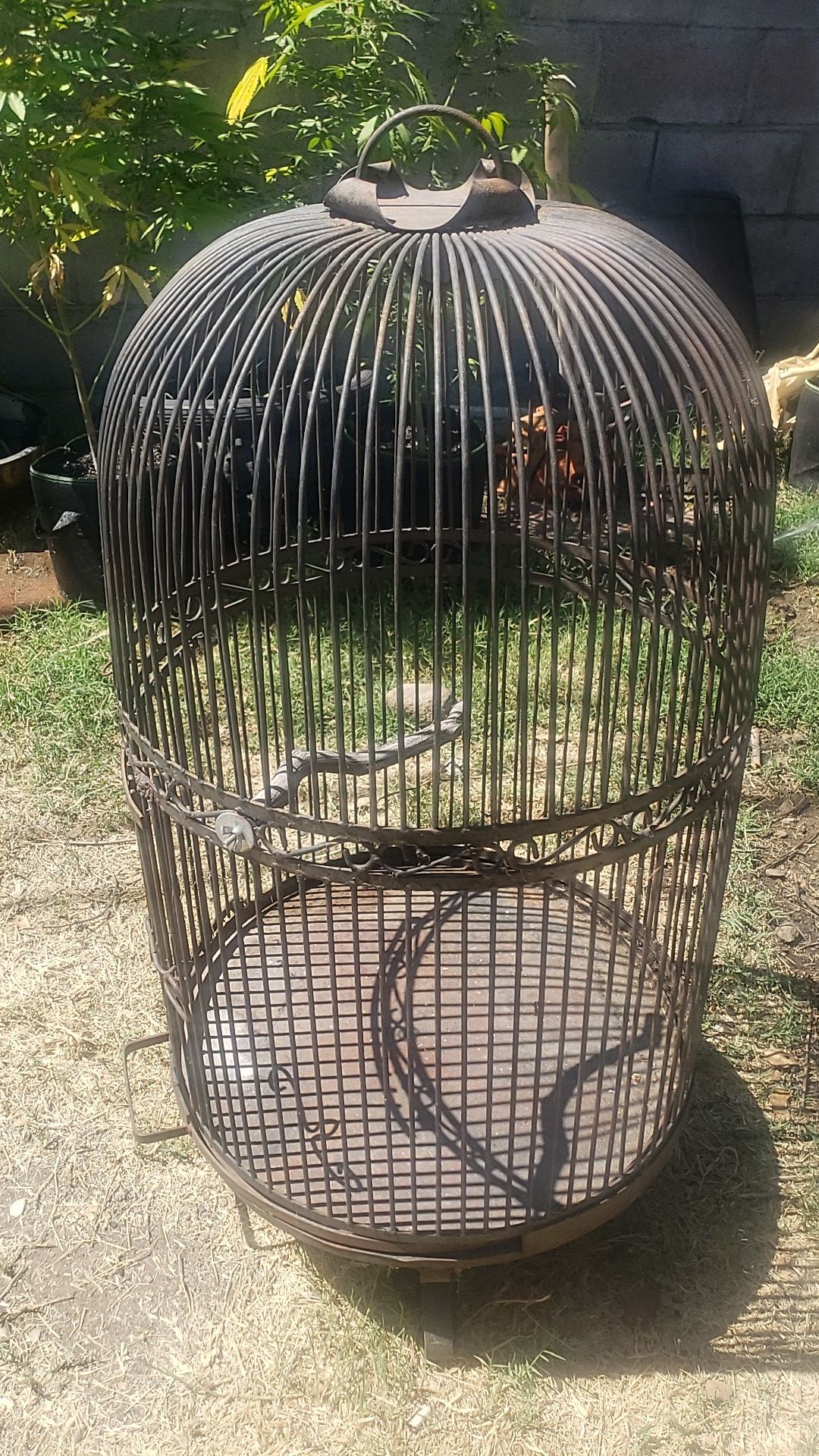 Wrought iron bird cage