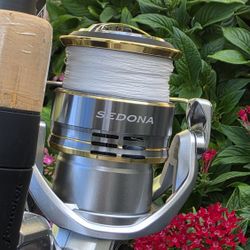 Shimano Sedona reel/Braid & Mono/Fenwick Rod
