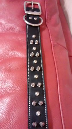 NEW LEATHER Dog Collar. Reduced