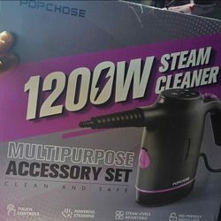 Steam Cleaner
