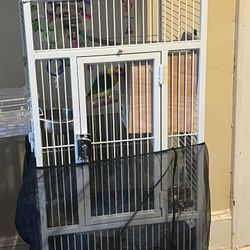 2lovebirds And Cage