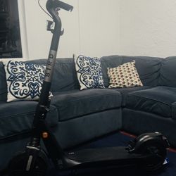 Bird Flex Scooter 