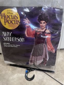 Mary Sanderson Costume And Wig