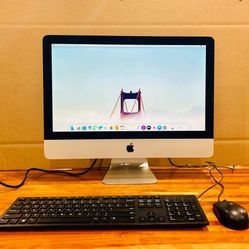  iMac 21.5” Early 2013 3.3 GHz Dual-Core i3 4GB RAM 500GB MacOS Catalina