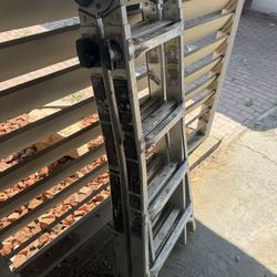 Folding Ladder