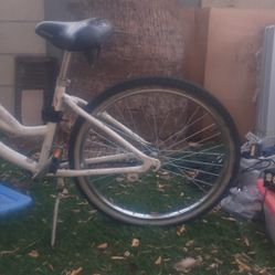 Single Speed Beach Cruiser 