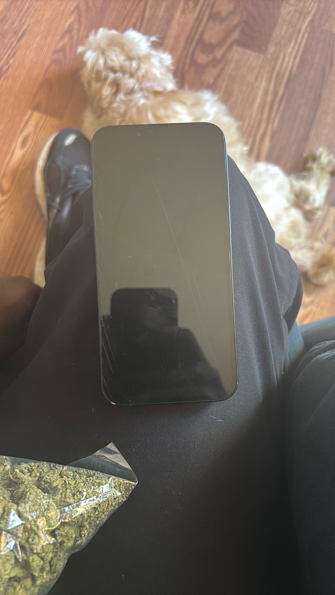 iPhone 16