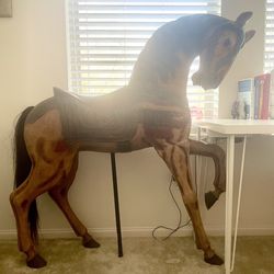 Beautiful Horse