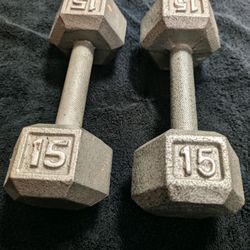 15lb Dumbbells
