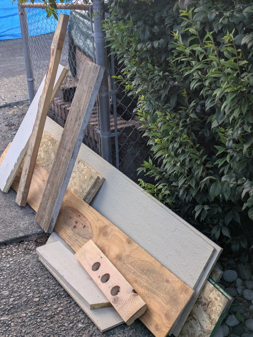 Free Building Material, Plus A Few Plants