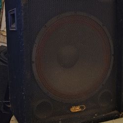 18" Party Speaker