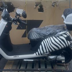 Zebra Moped, New