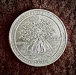 2020 D Salt River Bay Quarter