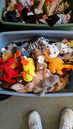 TY Beanie Babies New, from smoke free home!!!!