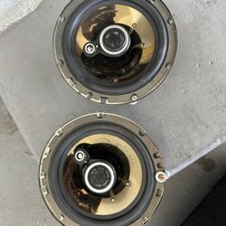 Subsonic Door Speakers 