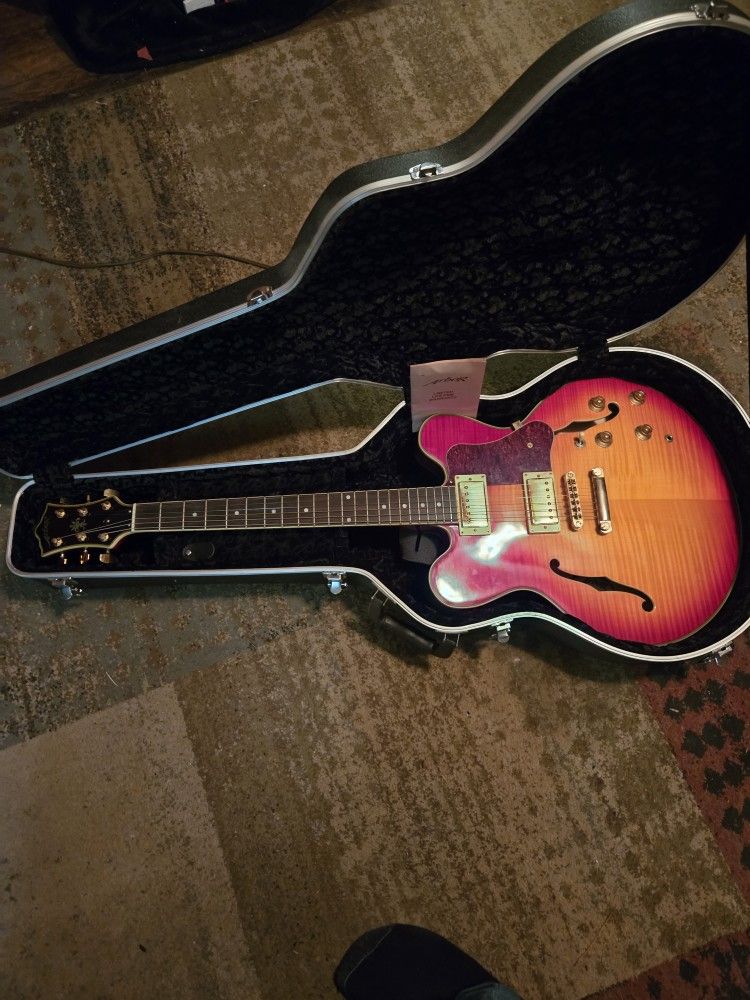 Arbor Hollow body