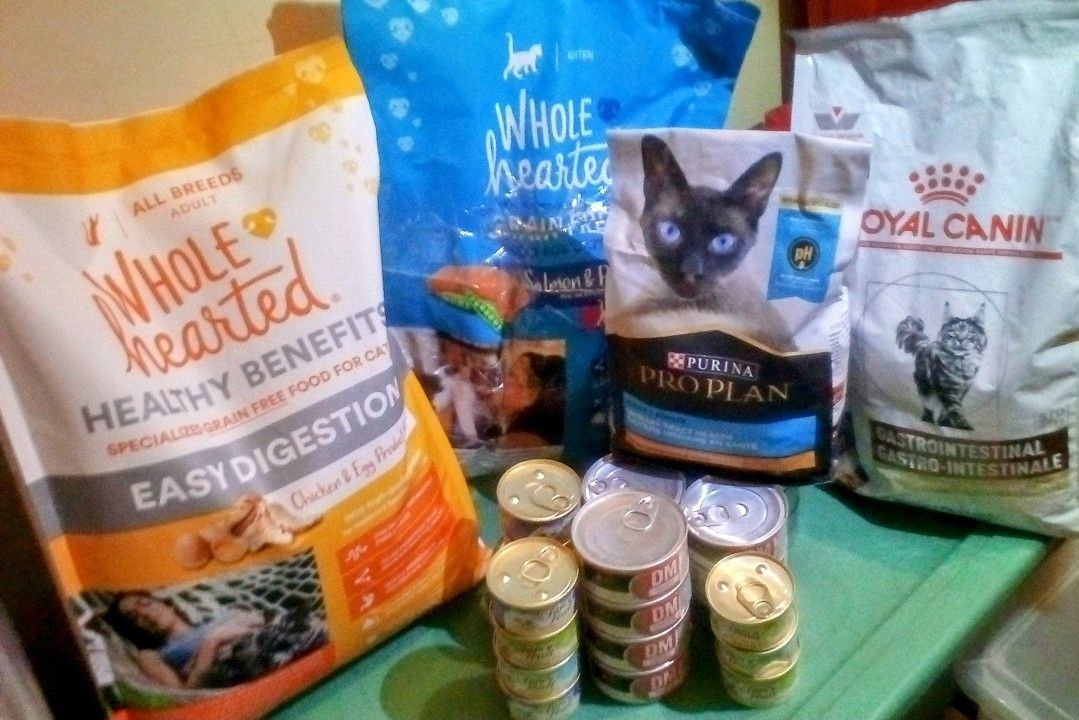 Wet And Dry Cat Food