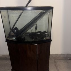 Fish Tank 