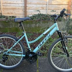 Adult Huffy RockCreek Bike
