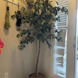 Artificial Tree/ Plant