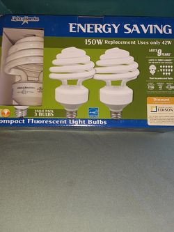 Light Bulb's