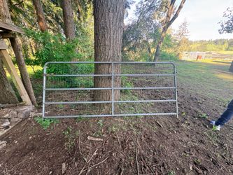10 ft livestock gate