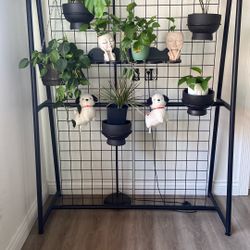 Plant Rack