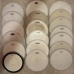 25 14” Coated Snare Drum Drumheads