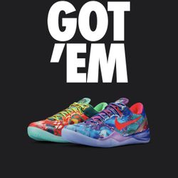 Nike Kobe 8 What The