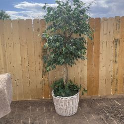 7 foot artificial plant